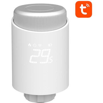 Avatto TRV10 Zigbee Tuya