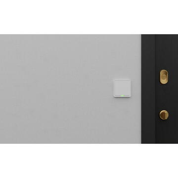 TESLA TSL-SWI-WIFI1 Smart Switch