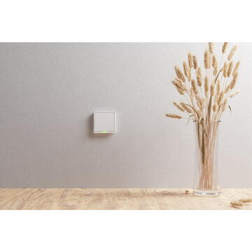 TESLA TSL-SWI-ZIGBEE1 Smart Switch ZigBee single switch