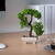 Decor plante artificiale - bonsai - 10 x 22 cm