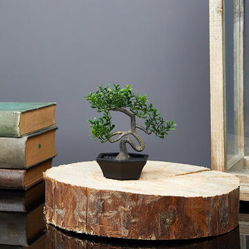 Decor plante artificiale - bonsai - 10 x 13 cm