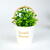 Decor plante artificiale - floare - 11 x 18 cm - 4 tipuri