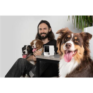 PetCube Cam