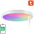 Smart ceiling light 30cm WiFi/Bluetooth 16M RGBCW Gosund LB12 1920lm